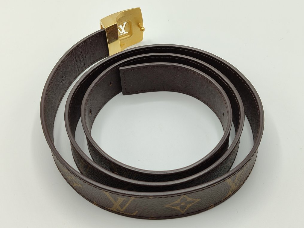 Louis Vuitton Belt pouch - Catawiki