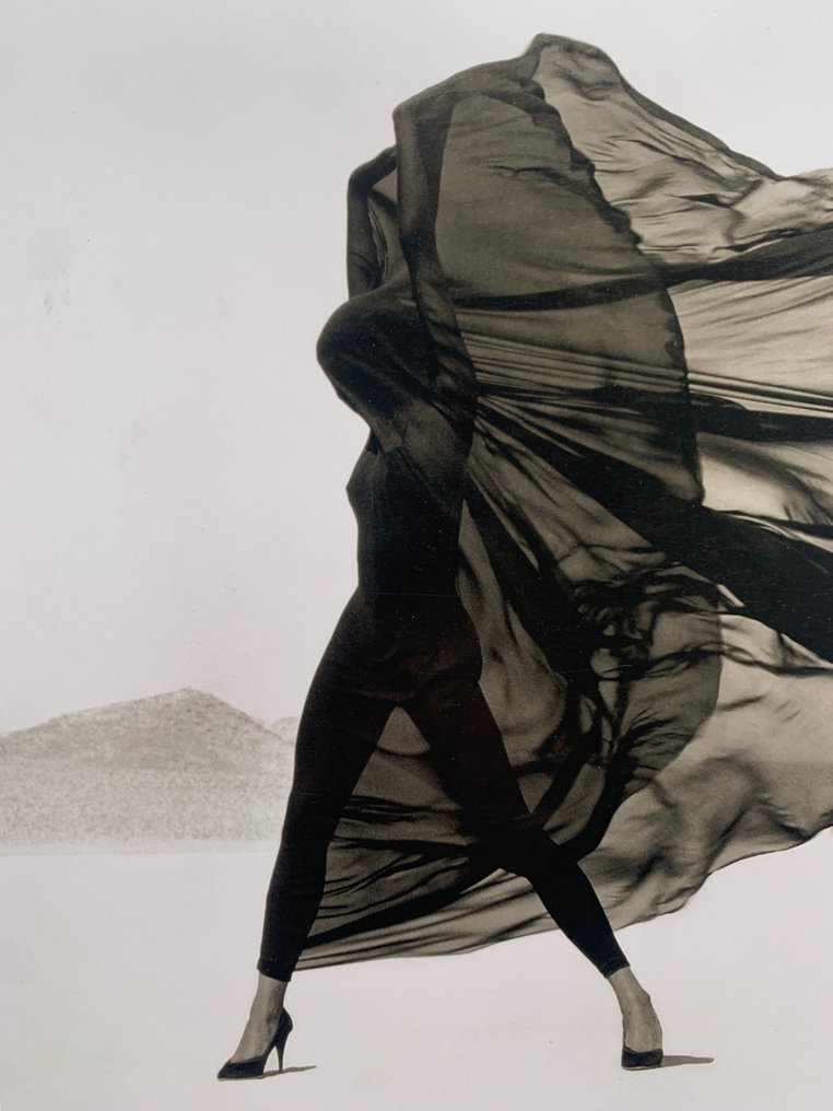 Herb Ritts - Versace, Veiled Dress, El Mirage, 1990 - Catawiki