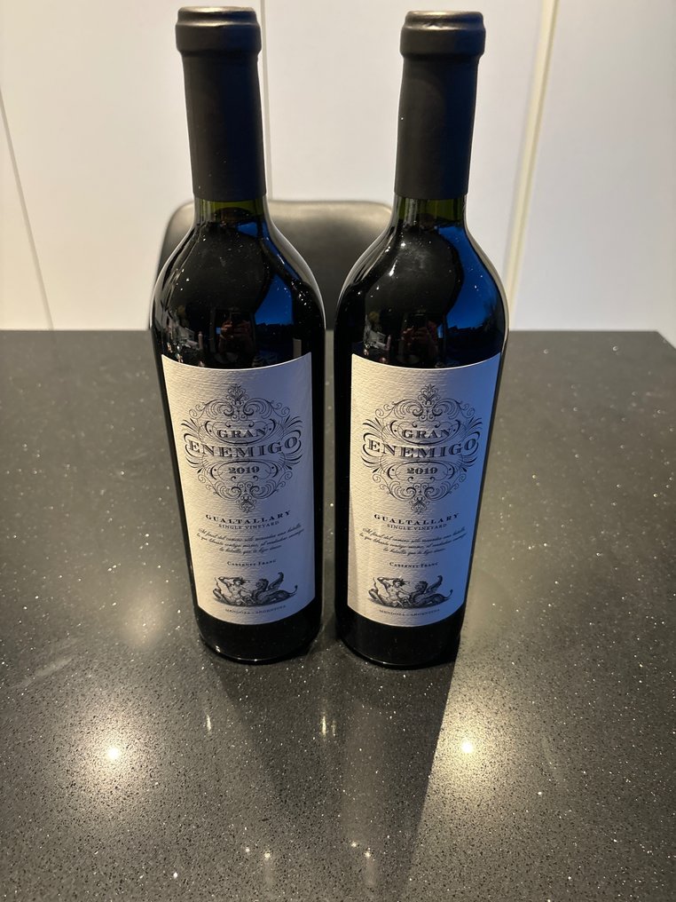 2019 Bodega Aleanna Gran Enemigo Gualtallary Single Vineyard