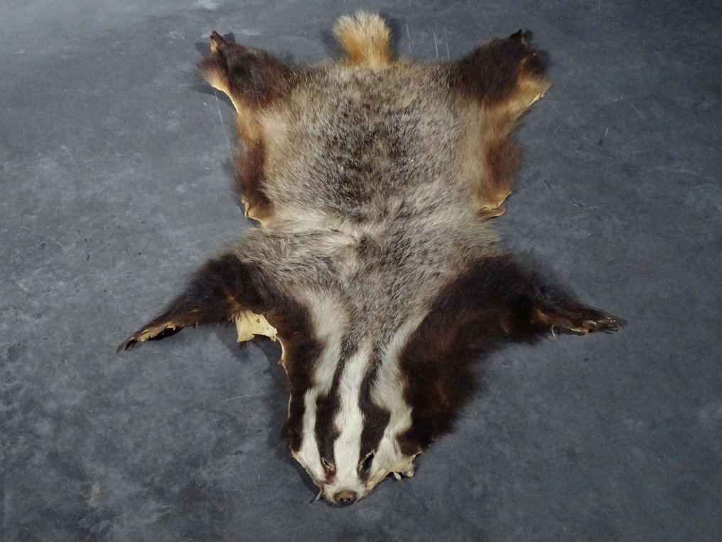 Kippschalter Mit 60cm Kabel - Paste-Typ Schalter Für Auto & Boot