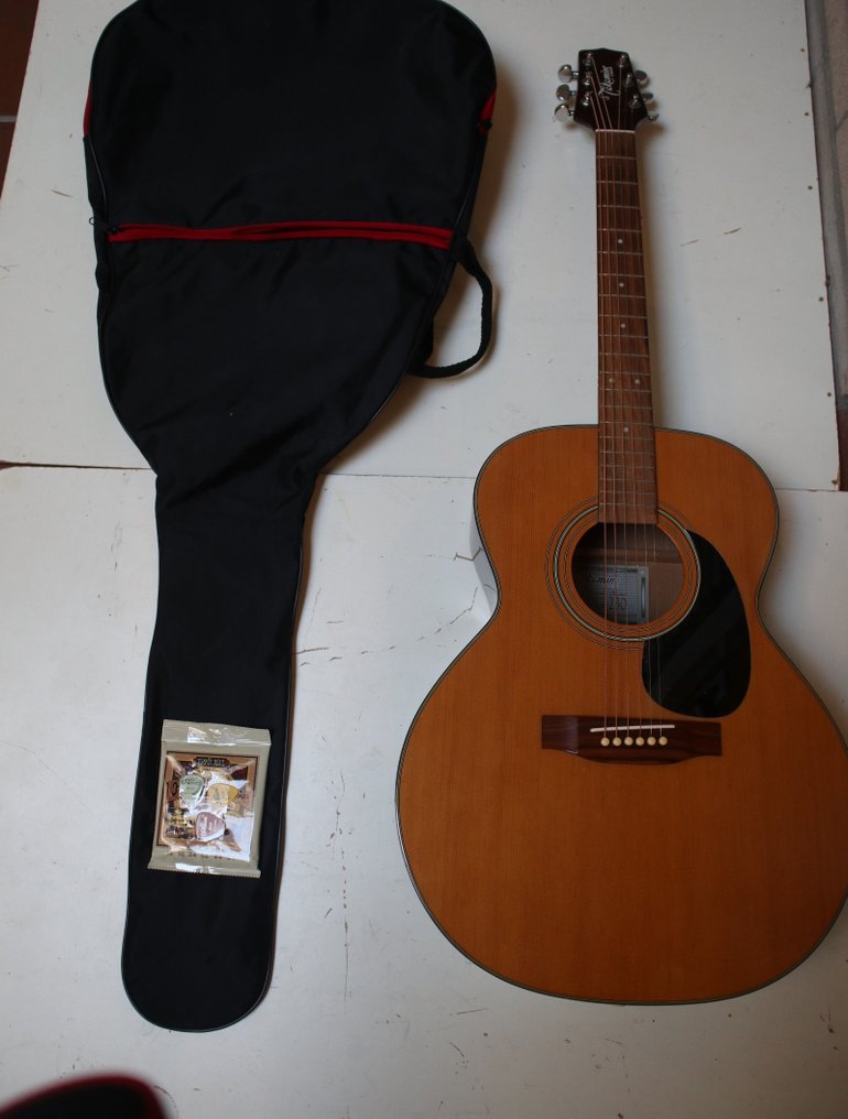 Takamine g230 2025