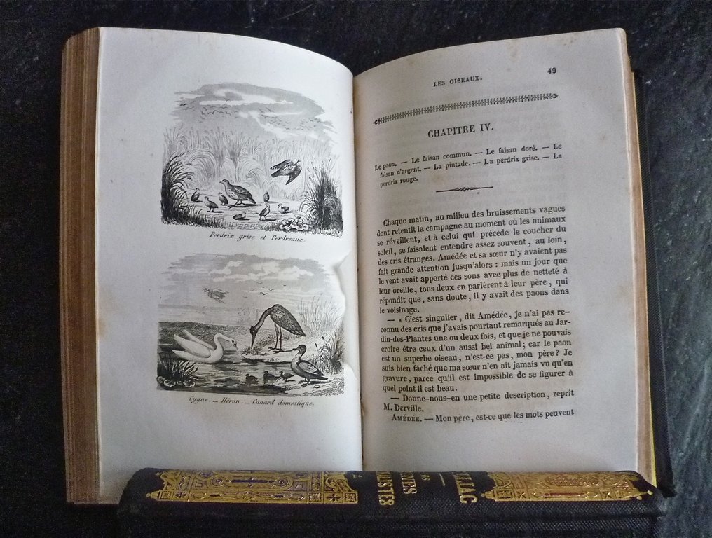 Mlle Sophie Ulliac Trémadeure Les Jeunes Naturalistes ou Entretiens