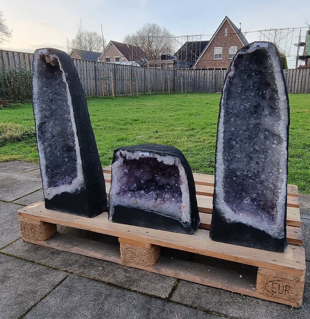 XL 105kg No Reserve Price Amethyst Cathedrals Geodes Crystal