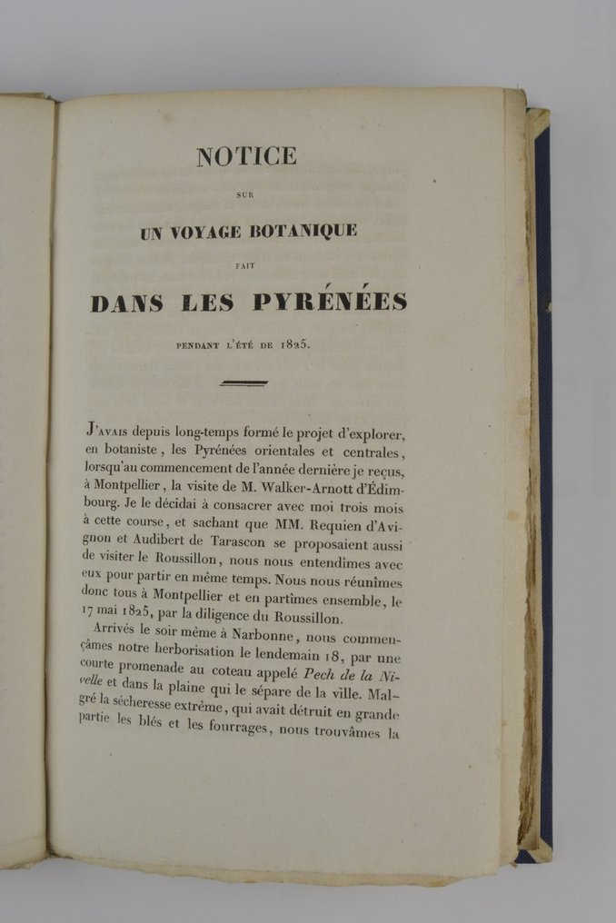 Bentham Catalogue des plantes indigènes des Pyrénés et du Bas