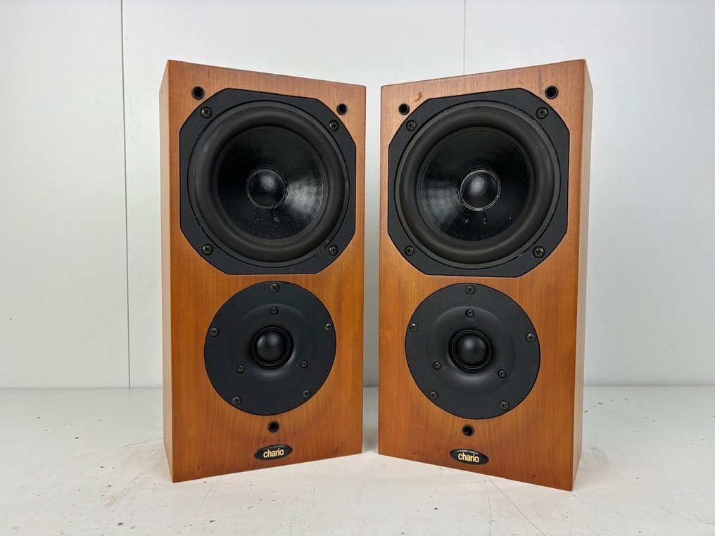 Chario Syntar Surround Matching Pair Speaker set Catawiki