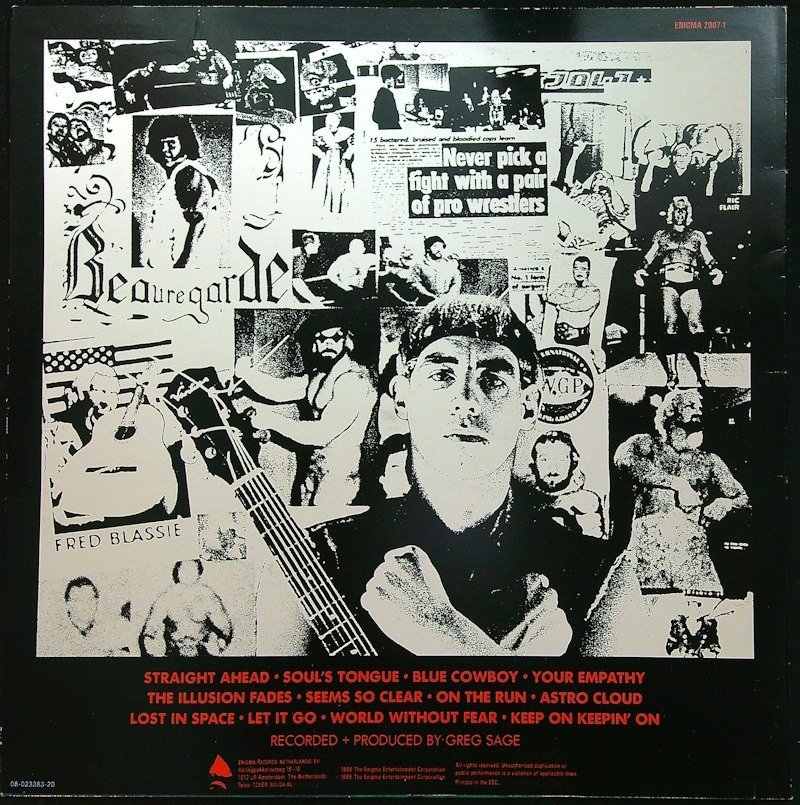 Greg Sage (of Wipersfame) Holland 1985 1st pressing LP. Straight