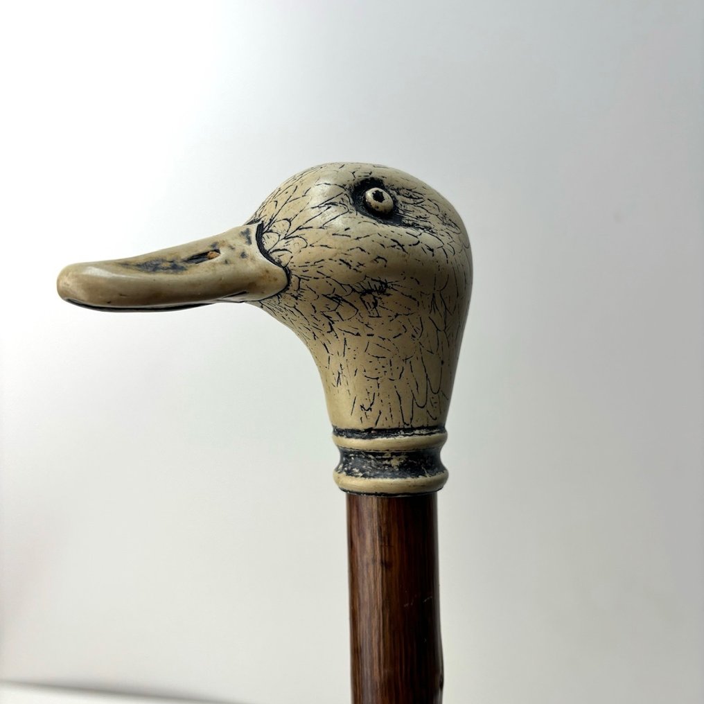 Walking stick “Duck” head handle Brass, Wood Catawiki