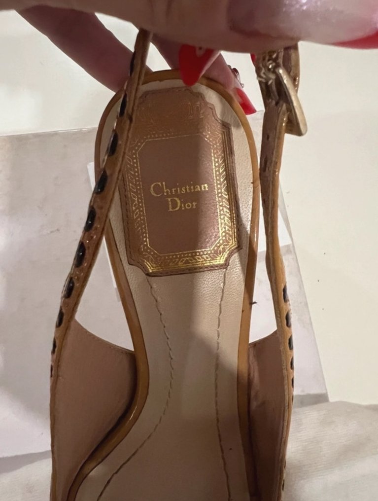Eu 36 shoe store size