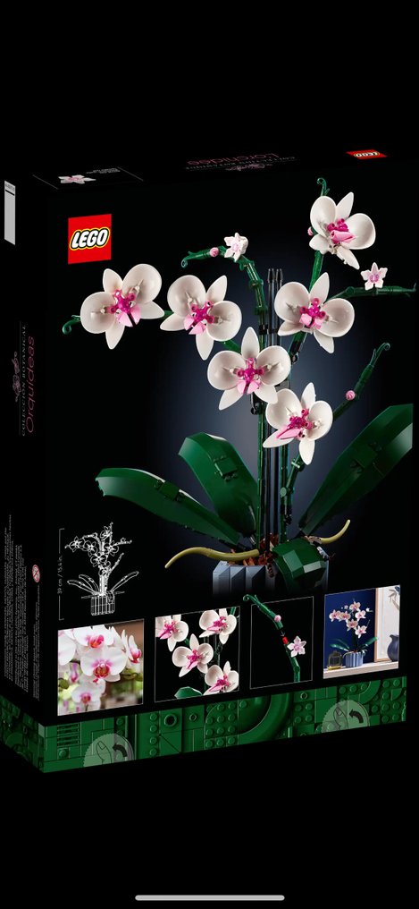 Orchidea 10311, The Botanical Collection