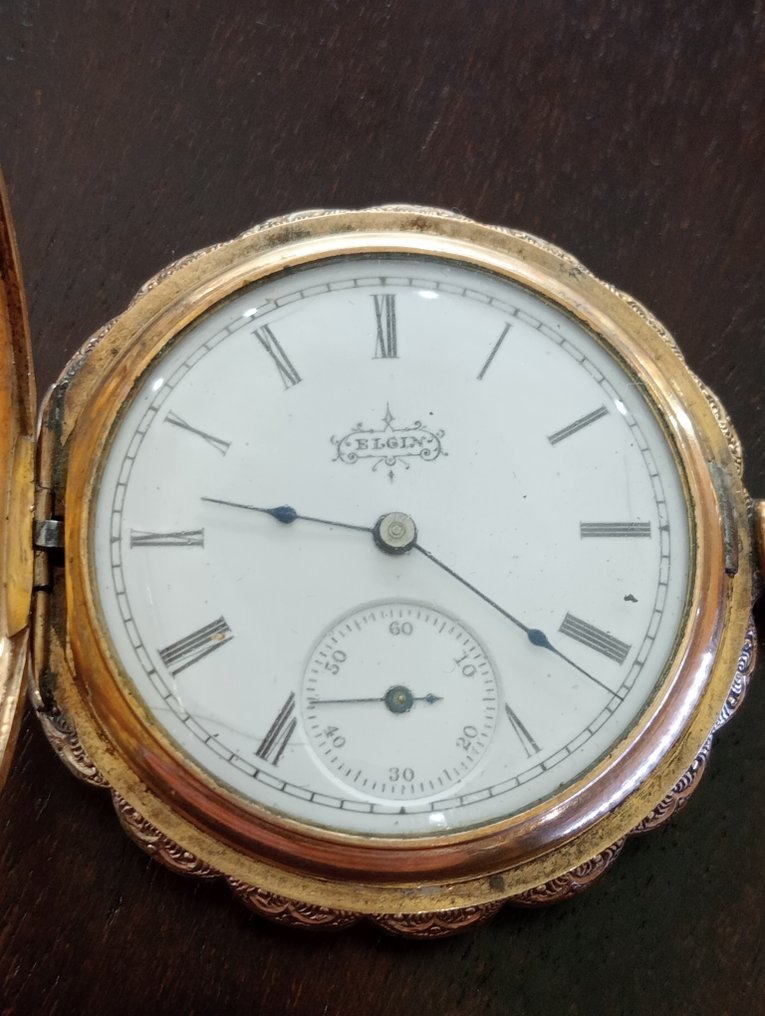 Elfin watch company 2025