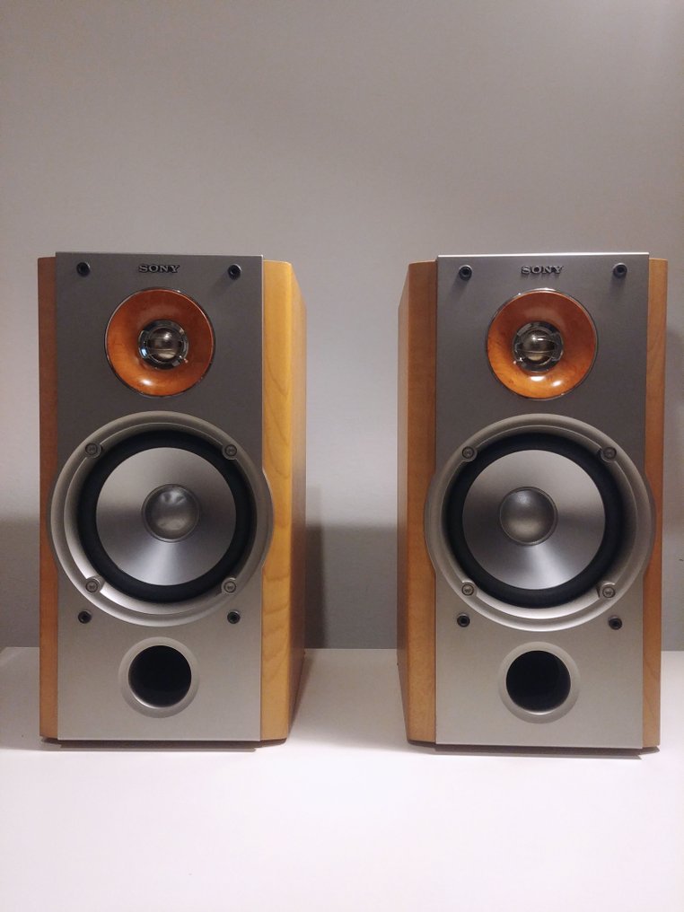 Sony SS NX1 Speaker set Catawiki