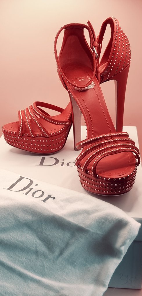 Hoge dior 2025 schoenen