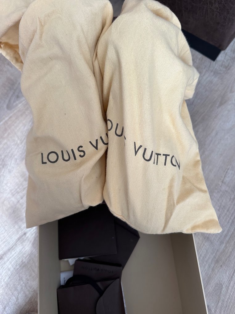 Louis Vuitton Sneakers Maat Shoes EU 40 US 5 5 Catawiki