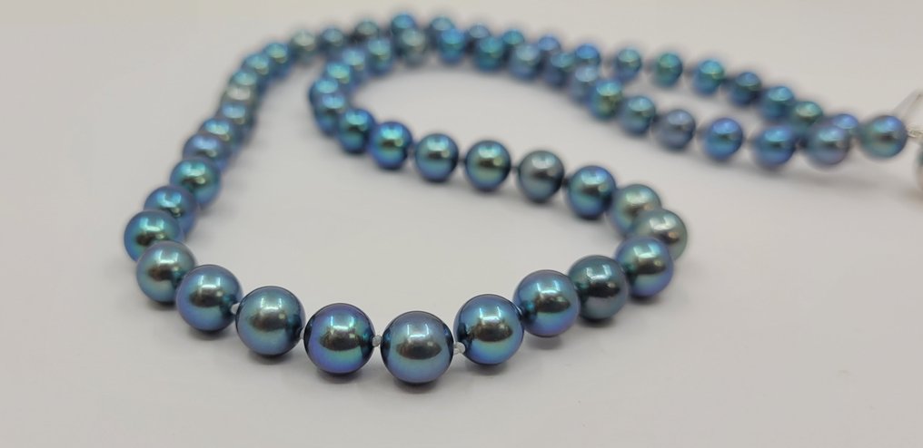 Natural blue on sale akoya pearls