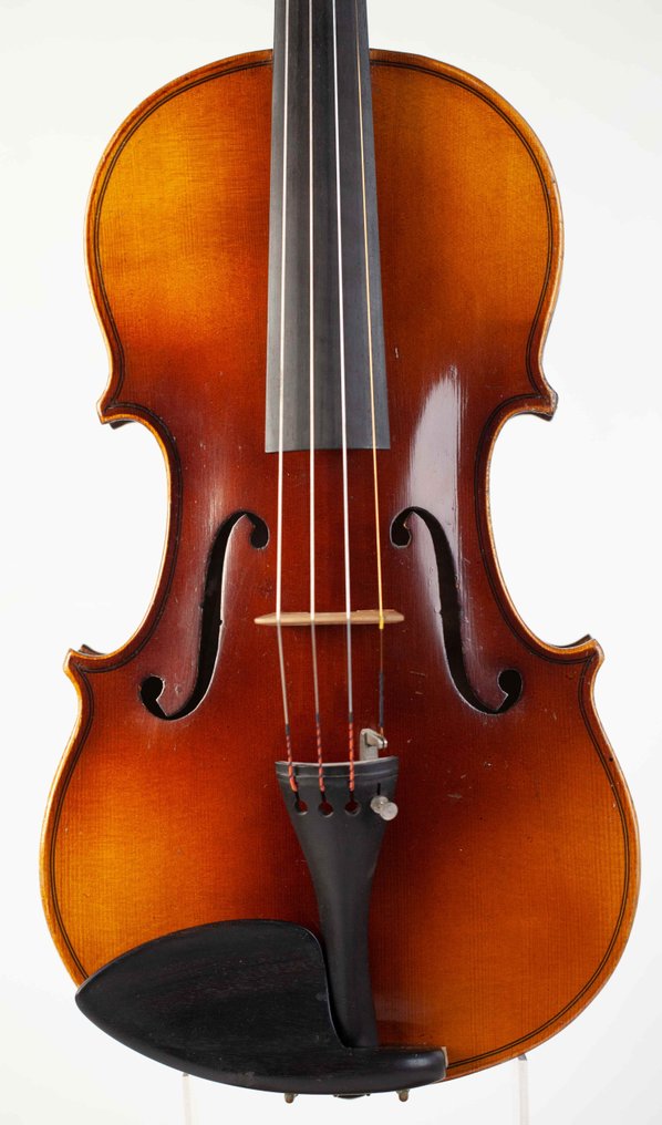 Antonius stradiuarius sale