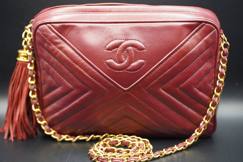 Camera case chanel 2025 bag