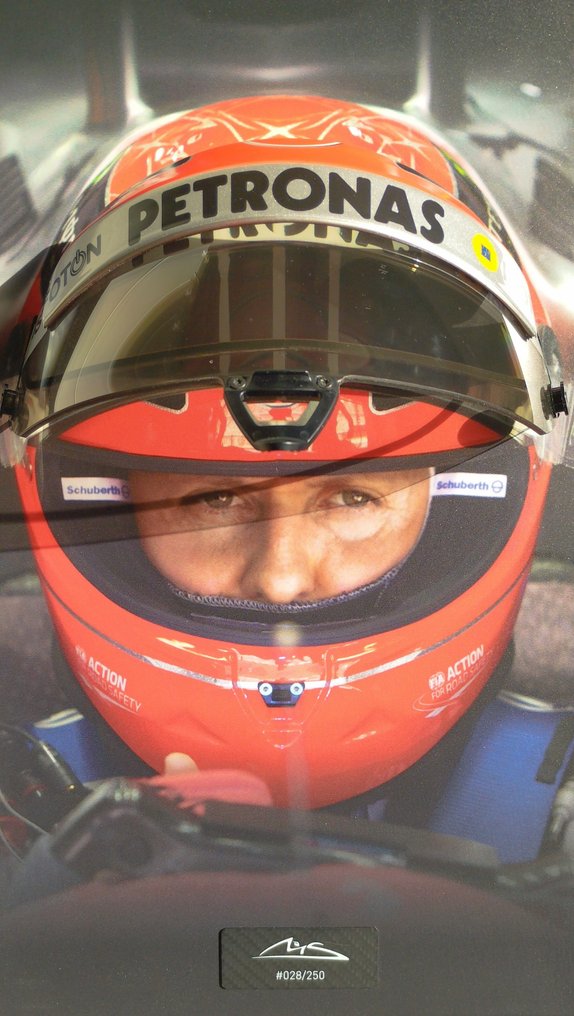 Michael Schumacher - 2012 - Visor - Catawiki
