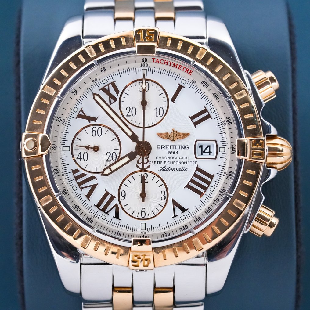 C13356 best sale