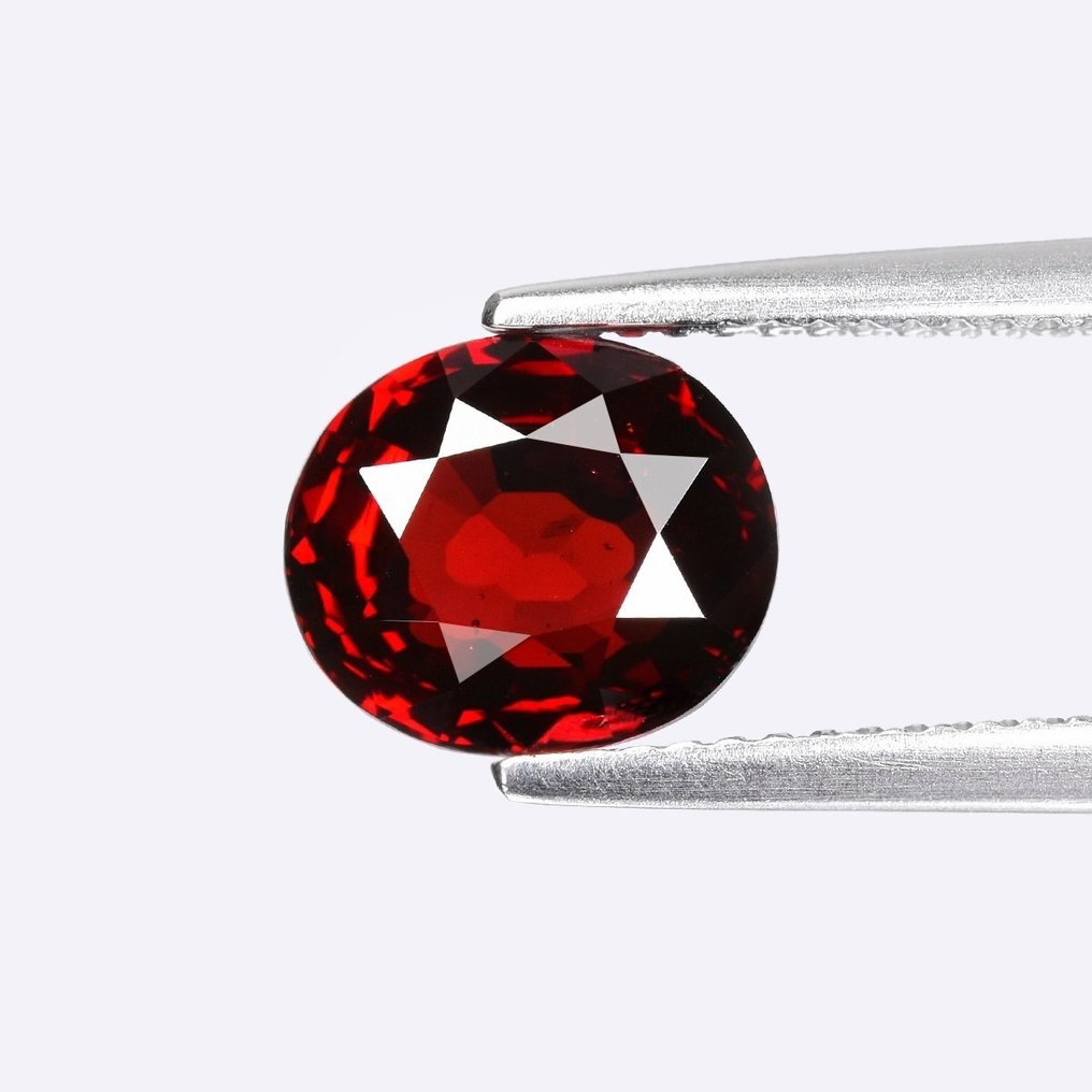 Blood red garnet 2025