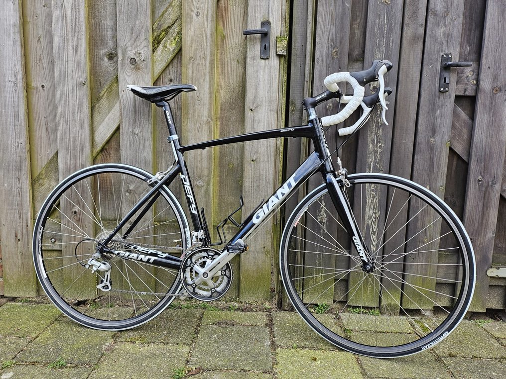 Giant defy 2013 top