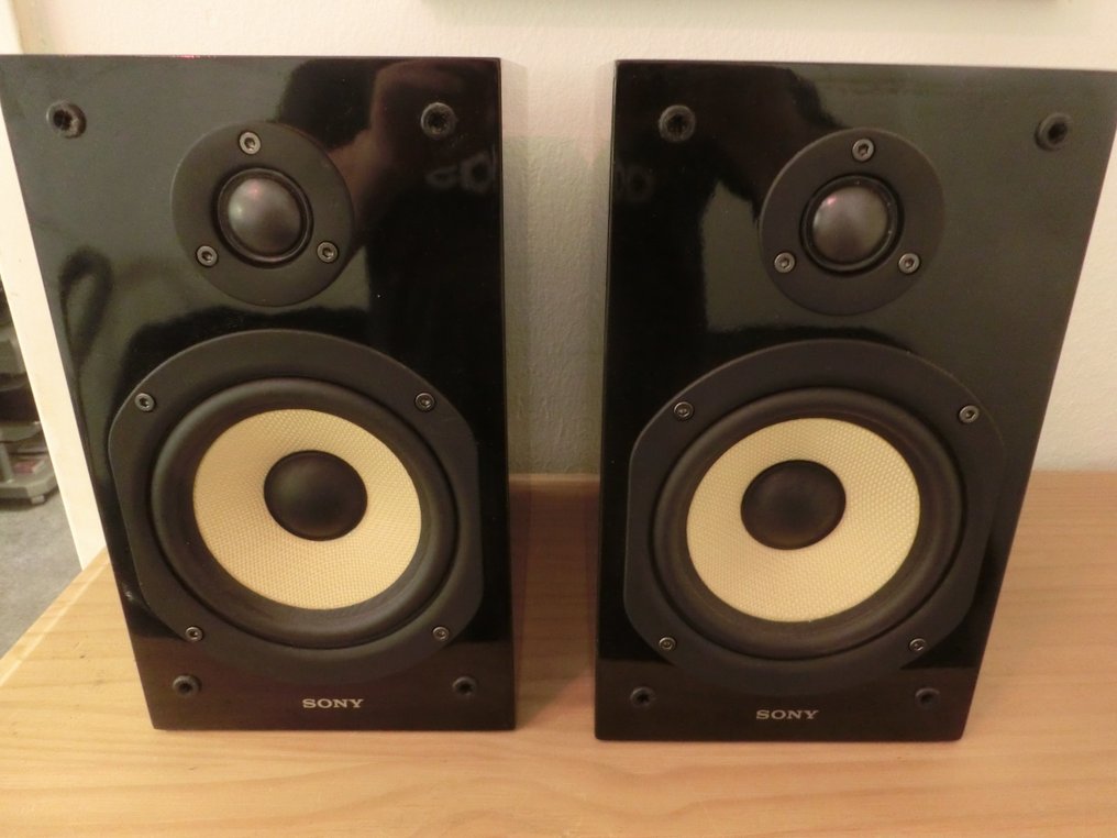 Sony - SS-CG1 Speaker - Catawiki