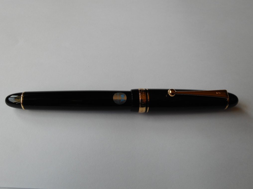 Pilot Custom 742 Waverly nib vulpen Fountain pen Catawiki