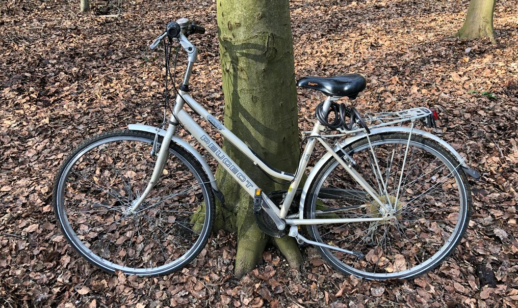 Peugeot Peugeot Country Bicycle 1981 Catawiki