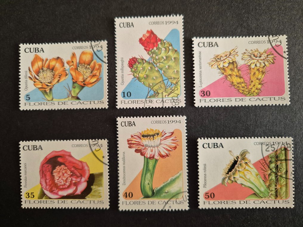 World Flowers Catawiki