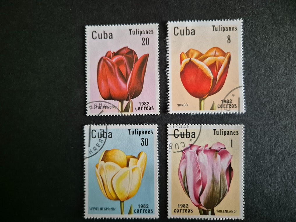 World Flowers Catawiki